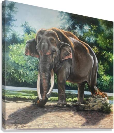 elephant Canvas Print