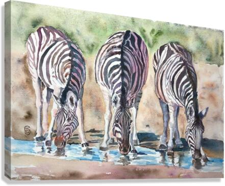zebras Canvas Print