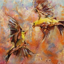 Fiercely tussle