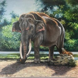 elephant