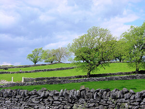 Dry stone walls Peak District National Park