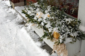 Shop decorations in winter