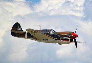 Curtiss P-40M fast pass