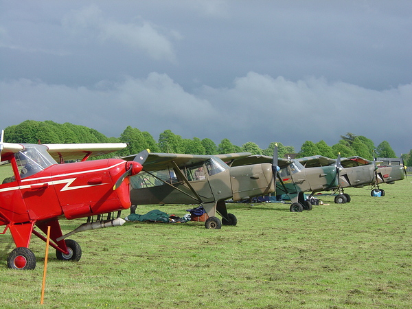 Line of parked Auster aircraft by Ross Sharp