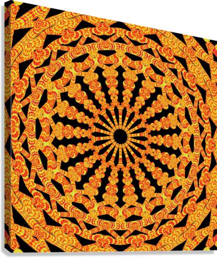 the orange circle Canvas Print