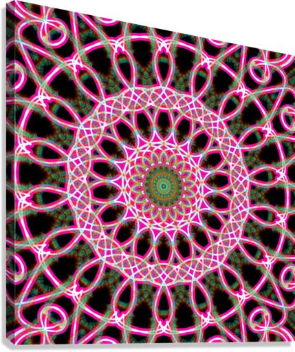 the pink circle Canvas Print