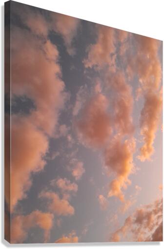 Pink sky Canvas Print