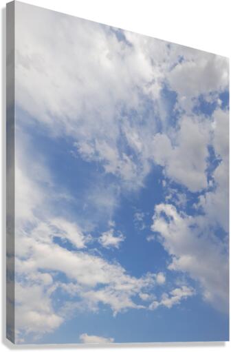 Blue sky Canvas Print