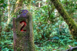 Cascade Head Trail Marker - Oregon