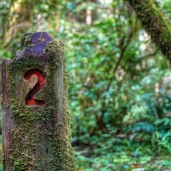 Cascade Head Trail Marker - Oregon