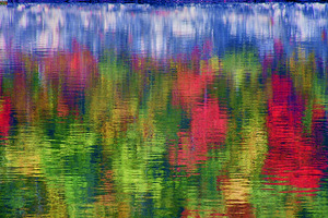 Claytor Lake Reflection