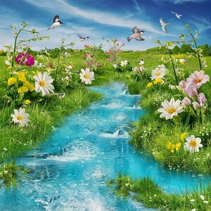 Springtime beautiful image 