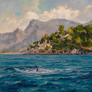 Underwater panorama of the ocean