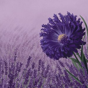 Allowing the prominent flower