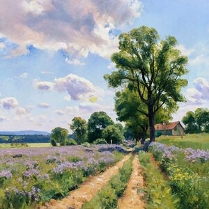 Rural scene during summer 