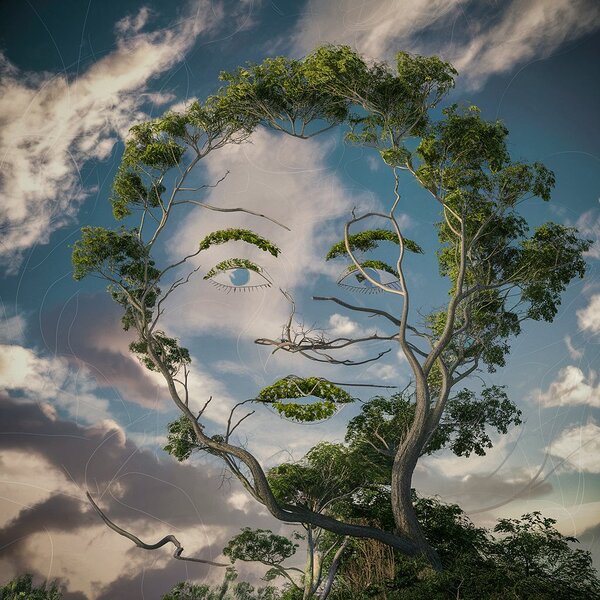 Womans face silhouette  Print