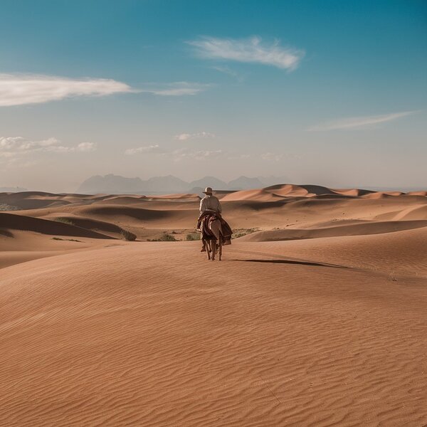 Desert landscapes Print