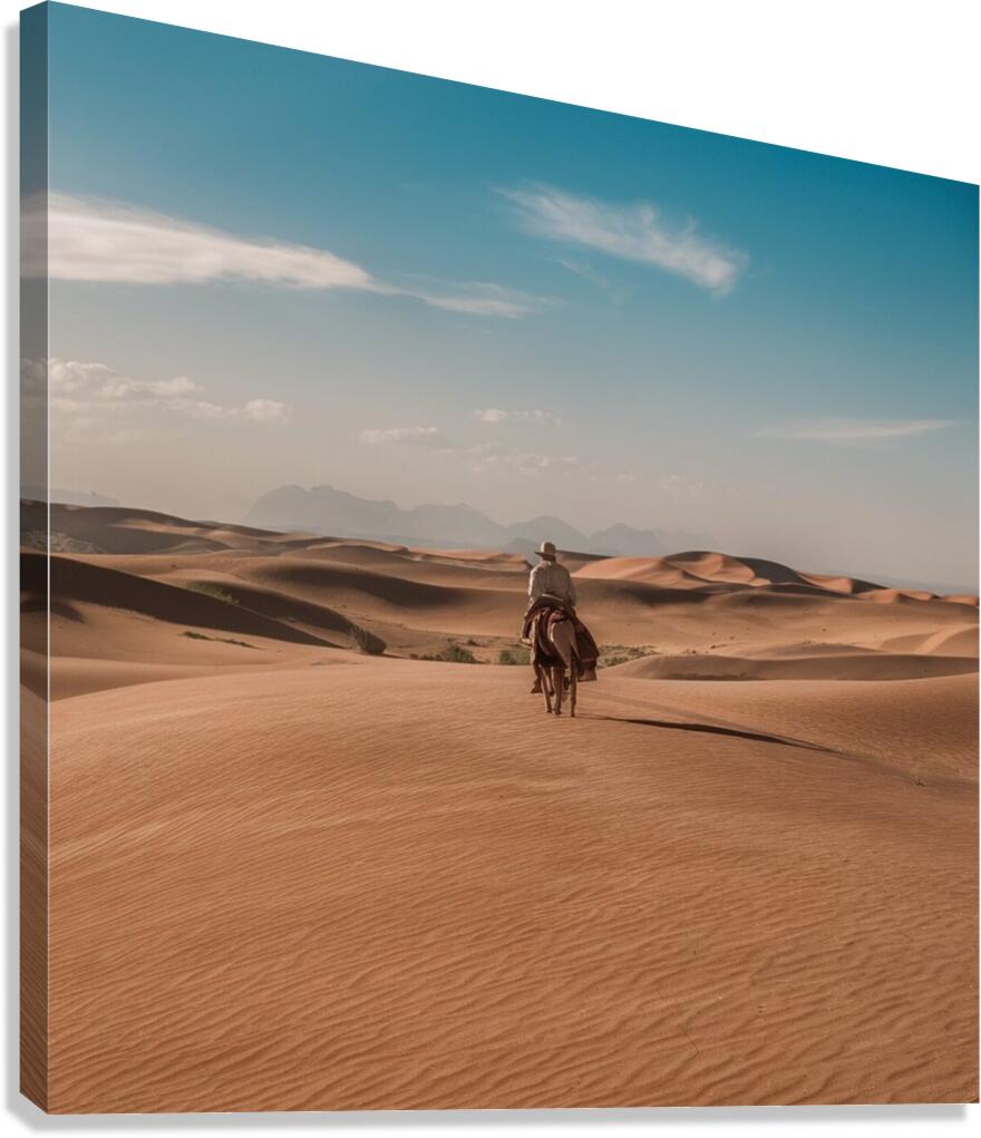 Desert landscapes Canvas Print
