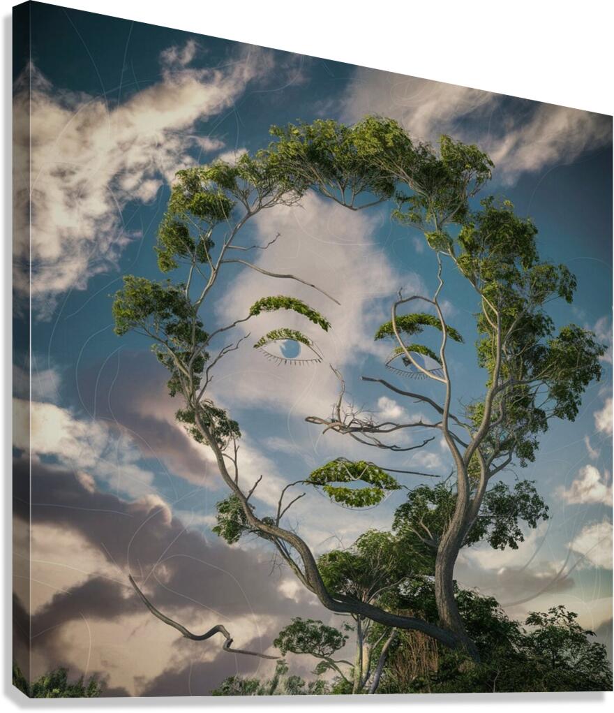 Womans face silhouette  Canvas Print