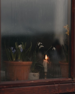 adventuringbeth photo 1707795839537