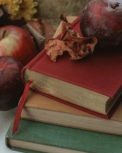 foxpriestess photo 1707767816099.webp