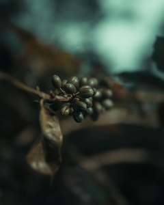 gsehru  photo 1707768559222