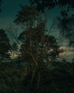 gsehru  photo 1707768560866