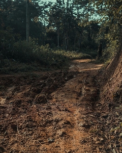 gsehru  photo 1707768655583