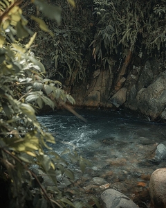 gsehru  photo 1707795923756