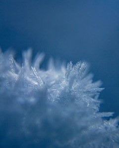 patricksvisuals photo 1707770330104.webp