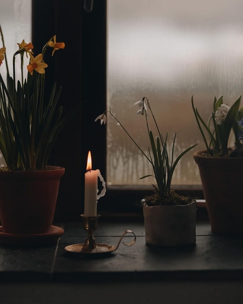 adventuringbeth photo 1707795839855 Print