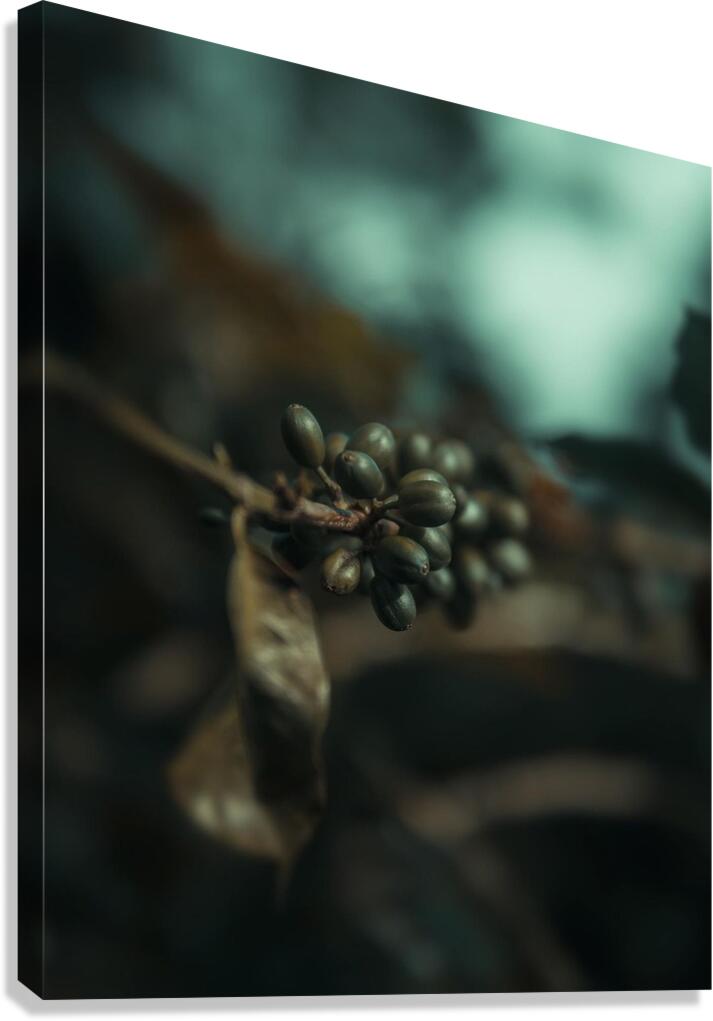 gsehru  photo 1707768559222 Canvas Print