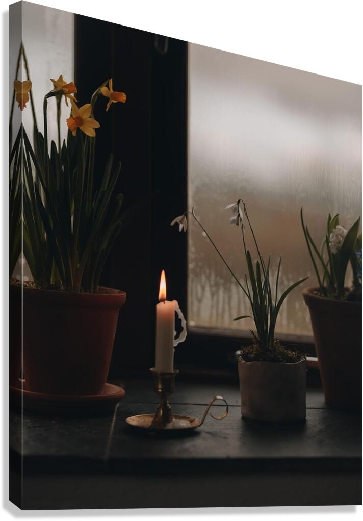 adventuringbeth photo 1707795839855 Canvas Print