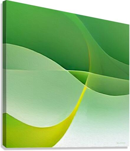 Fluid  1 Canvas Print