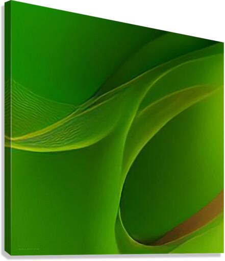 Fluid  3 Canvas Print