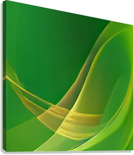 Fluid  4 Canvas Print