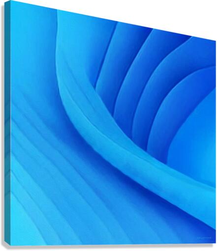 Glide  2 Canvas Print