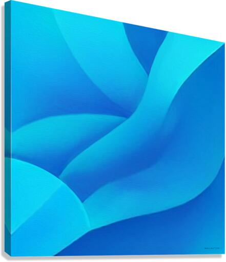 Glide  3 Canvas Print