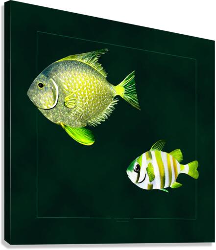 Emerald Tides 6 Canvas Print