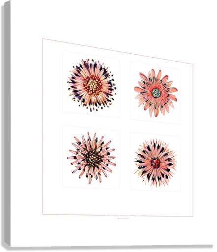 Starburst 2x2   Salmon Rouge and Charcoal 6 Canvas Print