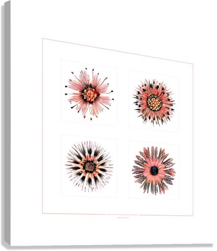 Starburst 2x2   Salmon Rouge and Charcoal 1 Canvas Print