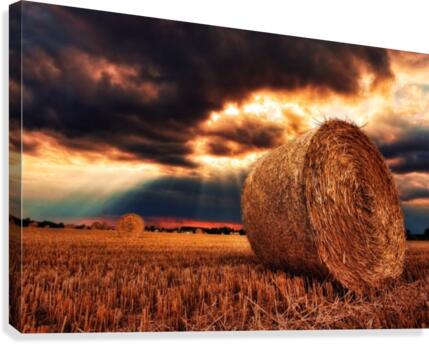 JPT 6091X Canvas Print