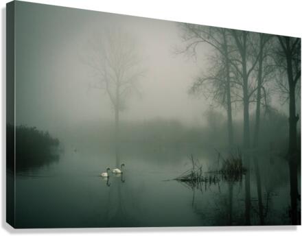 JPT 8563F Canvas Print