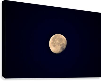 JPT_9059 MO Canvas Print