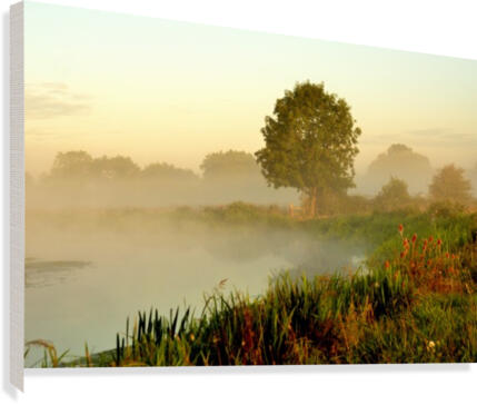 JPT_8930R Canvas Print