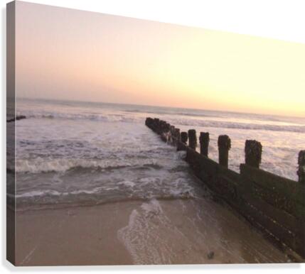 JPT61 13 Canvas Print