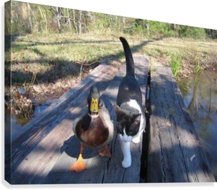 JPT 2012  Canvas Print