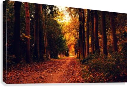 JPT 216798 Canvas Print
