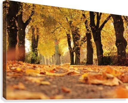 JPT 235721 Canvas Print