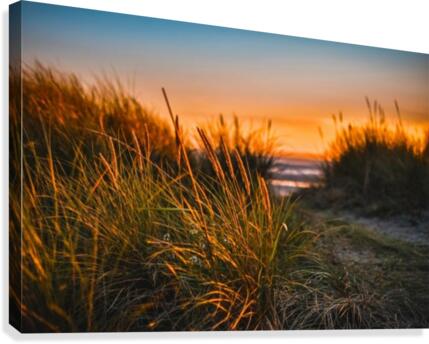 JPT 22024 Canvas Print